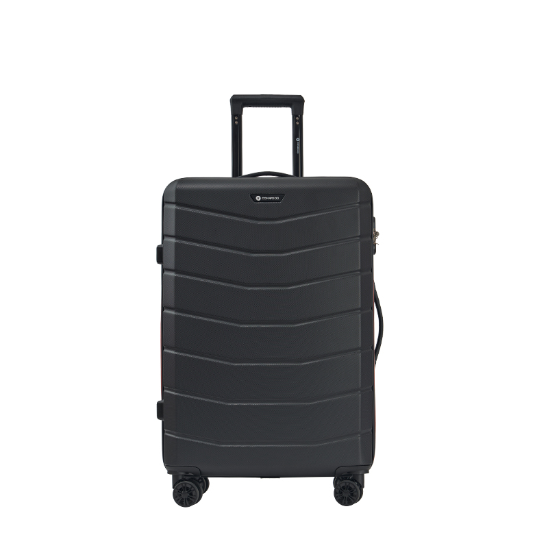 AEROX Aviator Check-In